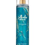 Resized_Bath and body works 236ml Saltwater Breeze Body mist
