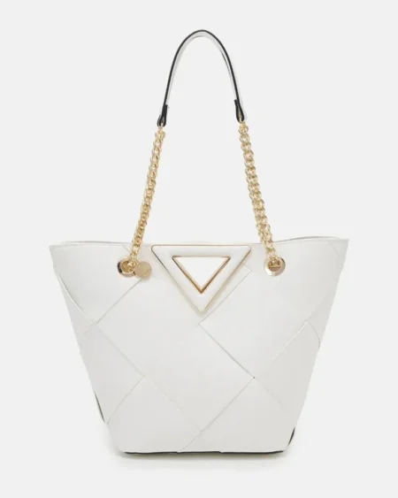 Aldo Accessories Contaeldar Tote Bag